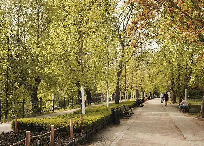 Stylowe Gniazdko Z Widokiem *